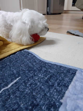 꿍님이 올린 리뷰 사진 3