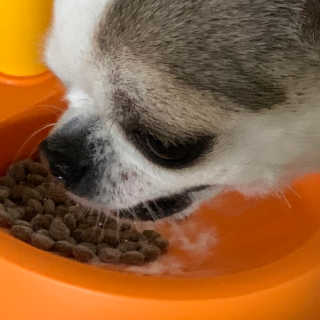 빔글뱀글님이 올린 리뷰 사진 1