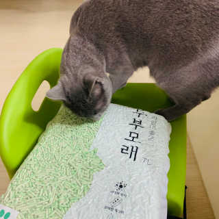 한비님이 올린 리뷰 사진 2