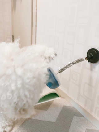 설기넹님이 올린 리뷰 사진 2