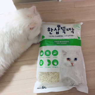[펫토리아] BEST 고양이두부모래 6L 한삽뚝딱 — 4점을 준 리뷰어가 2019년 1월 올린 사용 사진