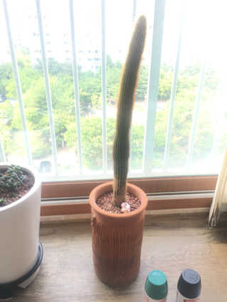 채연님이 올린 리뷰 사진 1