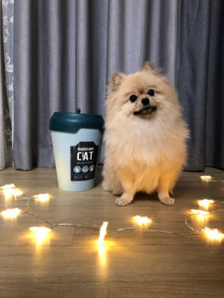 berryjjung님이 올린 리뷰 사진 1