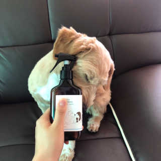 아구모온님이 올린 리뷰 사진 2