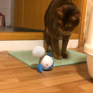 밍구리님이 올린 리뷰 사진 1