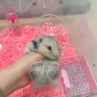 ye0229님이 올린 리뷰 사진 3