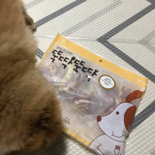 [펫토리아] 뚝딱뚝딱 400g 강아지 간식 베스트5종 — 4점을 준 리뷰어가 2019년 1월 올린 사용 사진