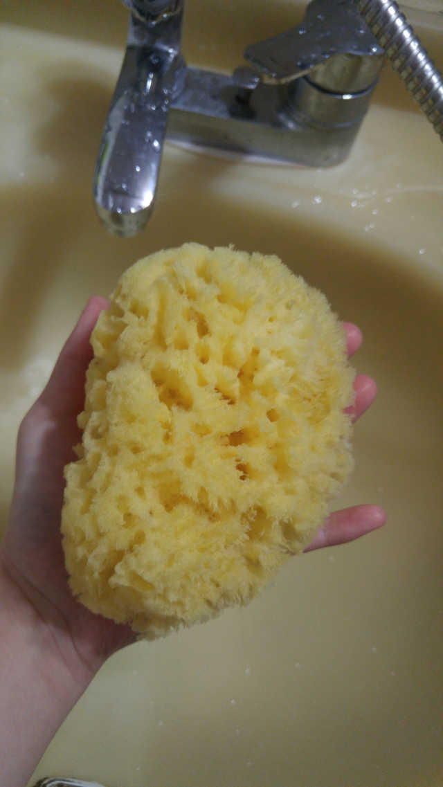 모공관리 끝 지중해산 천연해면 바디스펀지 리뷰 사진