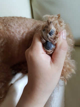 lemon님이 올린 리뷰 사진 2
