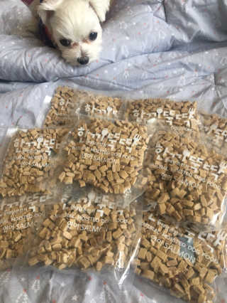 [펫토리아] 맛도 영양도 BEST 한끼뚝딱 강아지 사료 — 4점을 준 리뷰어가 2019년 4월 올린 사용 사진