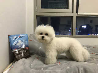 박리뷰왕님이 올린 리뷰 사진 3