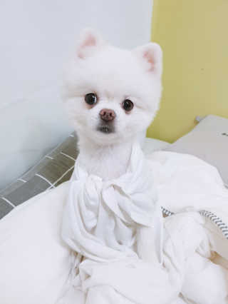 황선아님이 올린 리뷰 사진 2