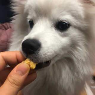 HeejinMoon님이 올린 리뷰 사진 2