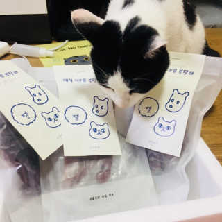 제주도에서 온 깨끗한 친환경 반려동물 음식 어글어글 — 5점을 준 리뷰어가 2018년 7월 올린 사용 사진