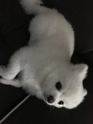 이성민님이 올린 리뷰 사진 2