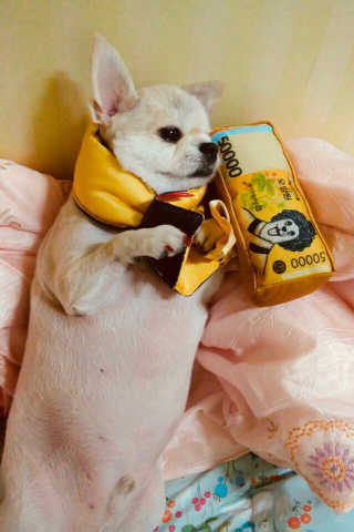 꽃재은님이 올린 리뷰 사진 4