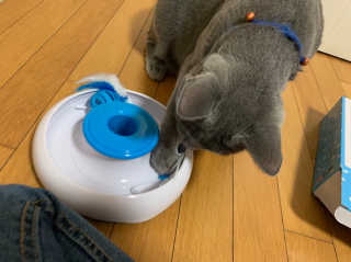 조아조아님이 올린 리뷰 사진 1