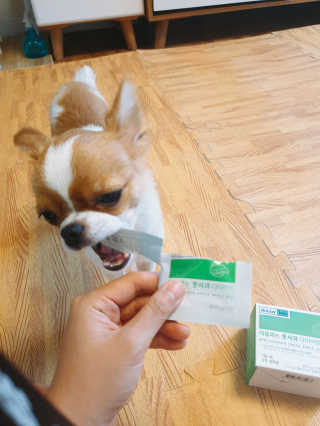 꼬몽쓰님이 올린 리뷰 사진 2