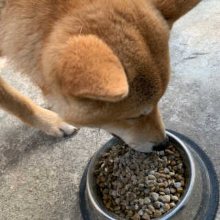 아라곤님이 올린 리뷰 사진 3
