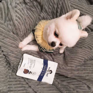 백설님이 올린 리뷰 사진 1