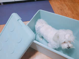 김희수님이 올린 리뷰 사진 2