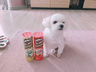 이예진님이 올린 리뷰 사진 1