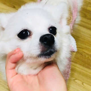 은영이님이 올린 리뷰 사진 3