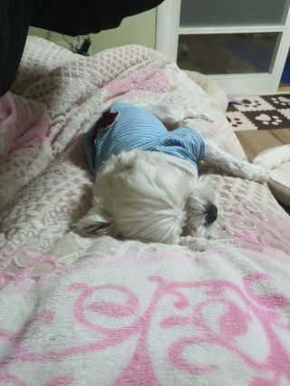 콩이님이 올린 리뷰 사진 1