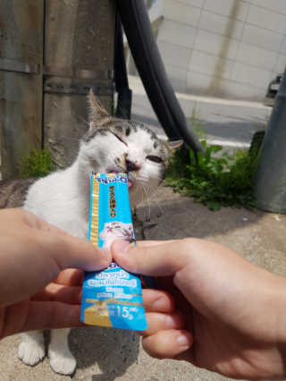 Soo님이 올린 리뷰 사진 2
