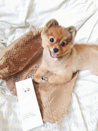 은선이짱님이 올린 리뷰 사진 1