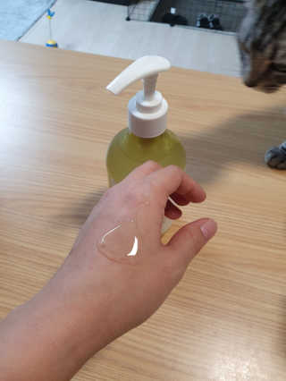 달리프 클로렐라 베러 루트 릴렉싱 샴푸 500ml — 5점을 준 리뷰어가 2019년 11월 올린 사용 사진