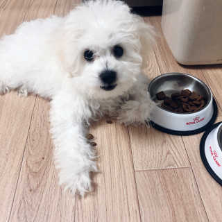 오나리님이 올린 리뷰 사진 2