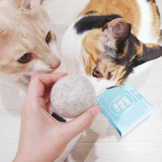 JENNY님이 올린 리뷰 사진 2