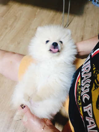 으콩님이 올린 리뷰 사진 4