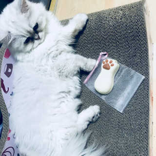 초초님이 올린 리뷰 사진 2