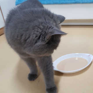 제트님이 올린 리뷰 사진 4