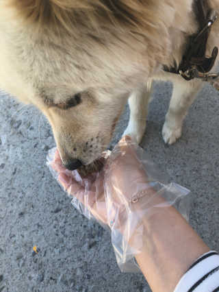 윤혜진님이 올린 리뷰 사진 4