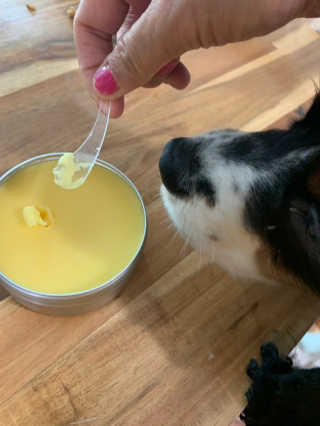 성광식님이 올린 리뷰 사진 3