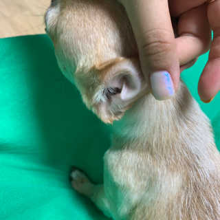 강수경님이 올린 리뷰 사진 2