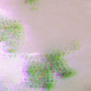 킹거루님이 올린 리뷰 사진 4