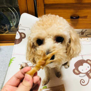 윤시코깅님이 올린 리뷰 사진 4