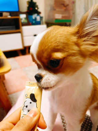 두공e님이 올린 리뷰 사진 2