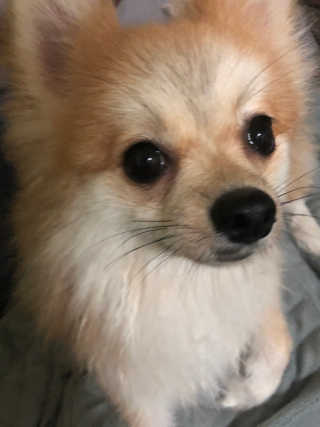 윤블님이 올린 리뷰 사진 2