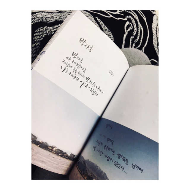 시를 잊은 나에게 리뷰 사진