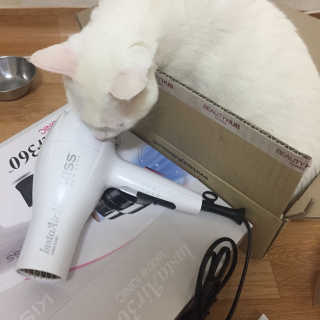 키스뉴욕 인스타에어 360 드라이기 — 5점을 준 리뷰어가 2018년 1월 올린 사용 사진