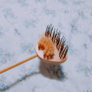 뽀그리님이 올린 리뷰 사진 1