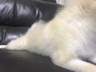 이뻐집시다님이 올린 리뷰 사진 4
