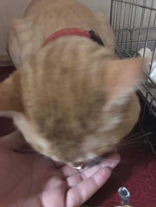 노희선님이 올린 리뷰 사진 2