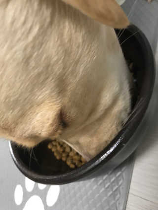 이지닝님이 올린 리뷰 사진 1