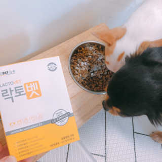 유산균하우스 [프로바이오닉]락토벳 — 5점을 준 리뷰어가 2019년 2월 올린 사용 사진